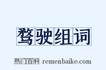 骛驶组词是什么意思的图片
